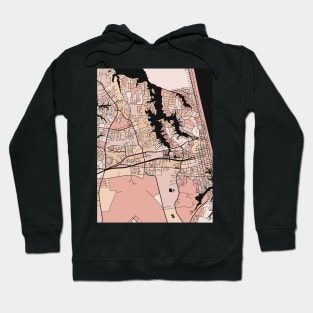 Virginia Beach Map Pattern in Soft Pink Pastels Hoodie